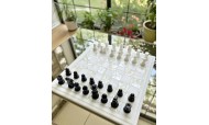 Jeu d'échecs